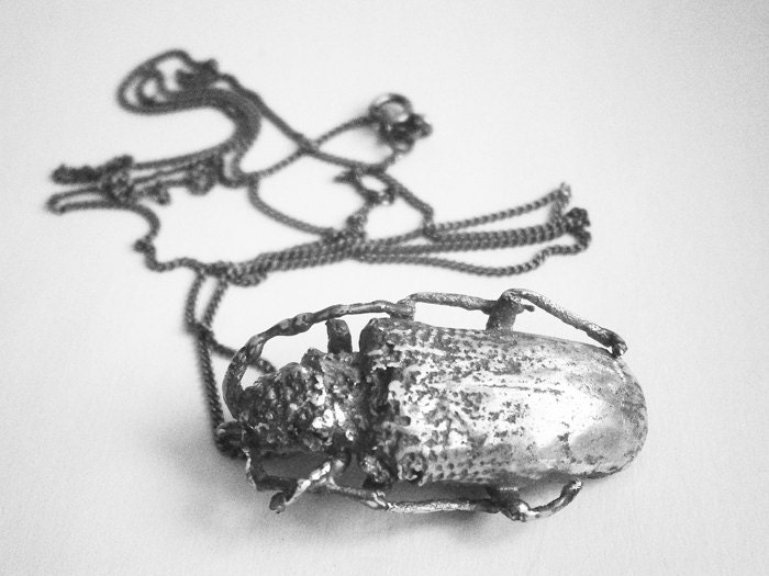 Madagascar beetle silver sterling necklace