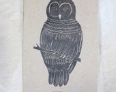 Eco notebook with wise owl print