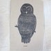 Eco notebook with wise owl print