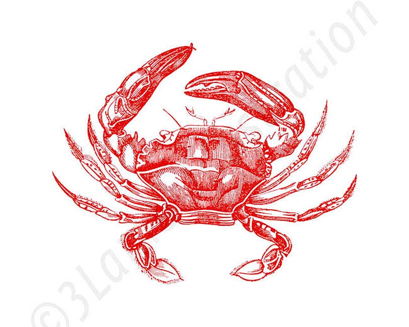 Crab Illustration Print 8 x 10 Nautical Summer Home Decor Beach Style