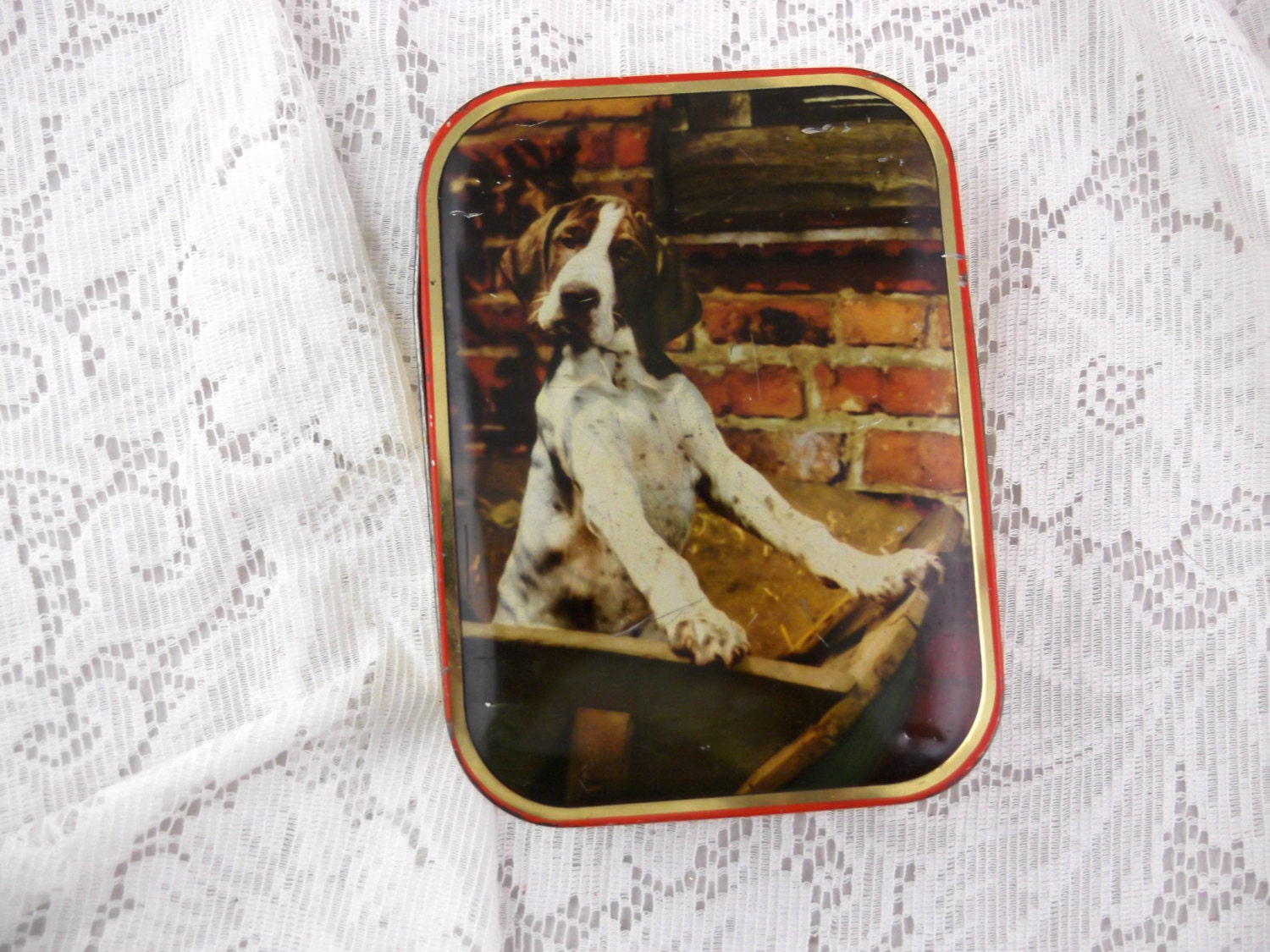 Vintage Edward Sharp & Sons Ltd Tin featuring Spaniel Dog from England