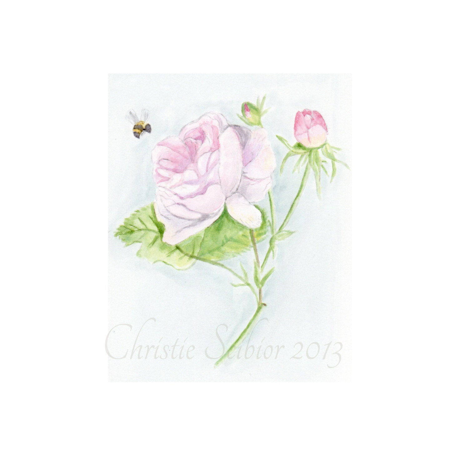 Vintage Pink Rose Art PRINT of Watercolor painting Still Life, Bumble Bee Cottage, Shabby romantic Chic, 8x10 Archival