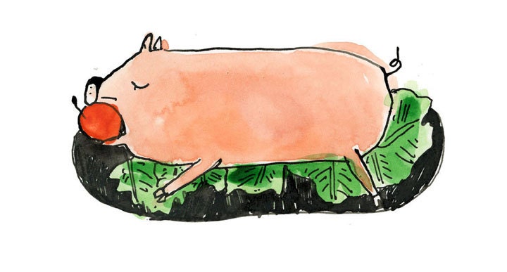 Pig with apple