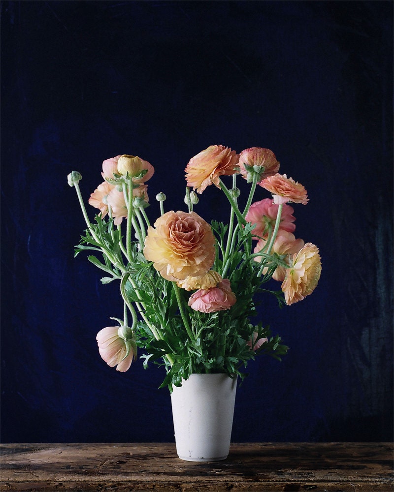 Flower Photograph No. 88245