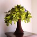 Weeping willow, Housewarming gift, Decoration, Children room decor, Felt green Tree