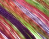 Hair Extensions - Rainbow Tiger Striped Clip In Streaks fringe weave weft