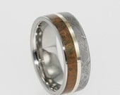 Titanium Band with Meteorite, Dinosaur Bone and 14K Yellow Gold Pinstripe Inlay