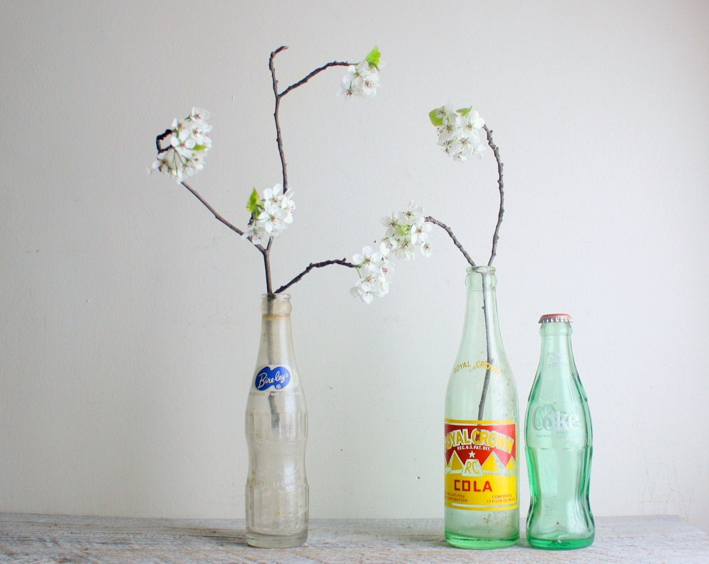Trio of Vintage Soda Bottles