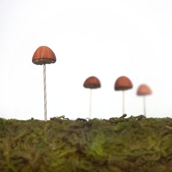 Micro Mushrooms Terrarium Decor Accessories, Set of 4 Realistic Miniature Decorations