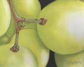 White Grapes Giclee Print 8x10