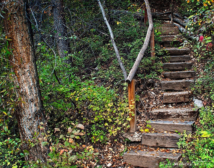 Nature Photography -Enchanted Forest -Stairs -8x10 Print -Fairy Garden -Nature Photography -Colorado Fine Art Photography