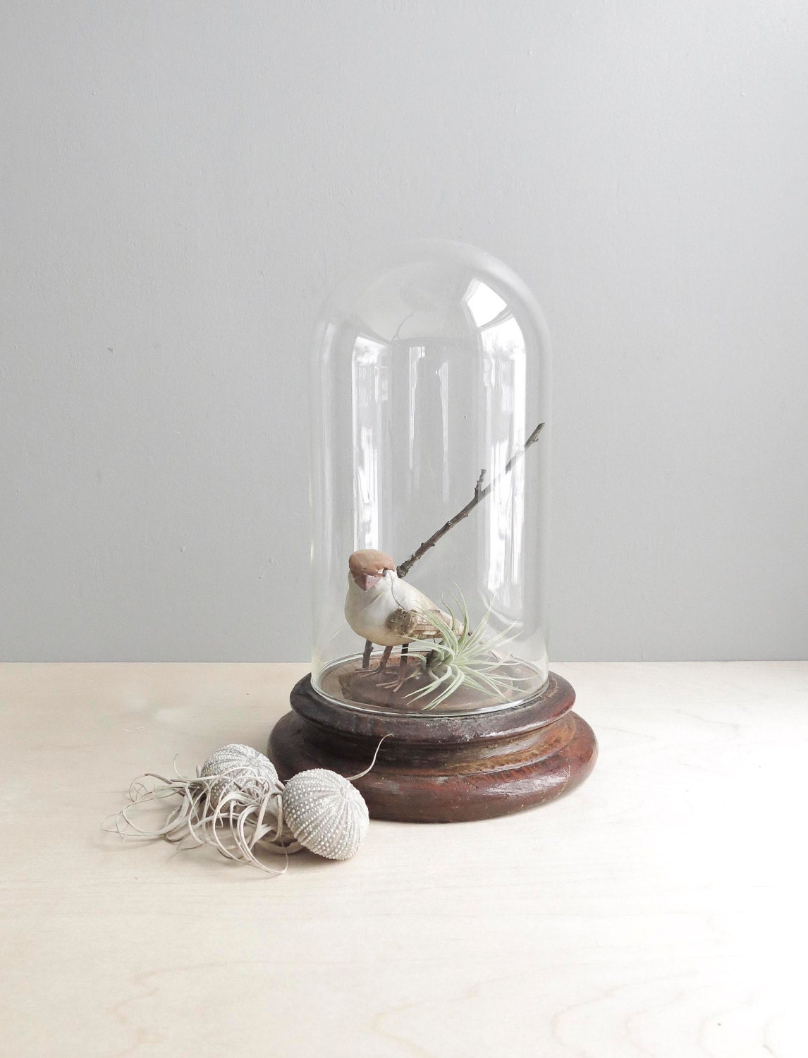 vintage glass cloche dome