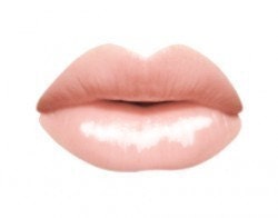 All Natural Mineral Lip Gloss in AURA  Nude Pink Lip Gloss  Goddess Glaze (tm) - ErzulieCosmetics