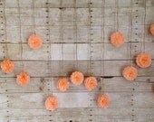 DIY Peach Tissue Paper Flower Wedding Garland Kit, Photography Prop, Party Decoration, Pom Poms Garland, light coral