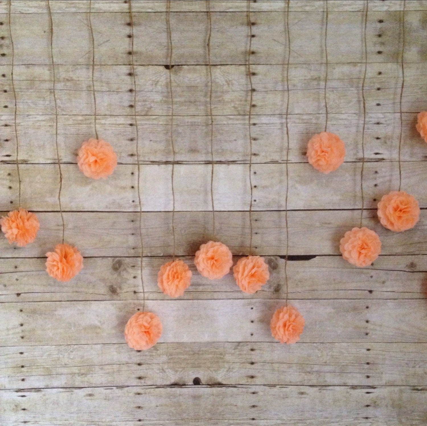 DIY Peach Tissue Paper Flower Wedding Garland Kit, Photography Prop, Party Decoration, Pom Poms Garland, light coral