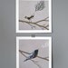 set of two archival 8x8 prints // birds // from my original nature inspired paintings // by natasha newton