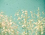 In a Daze - Magnolia tree photograph, spring flowers, nature, turquoise blue, cream, floral, bedroom art, shabby chic 8x10 Print