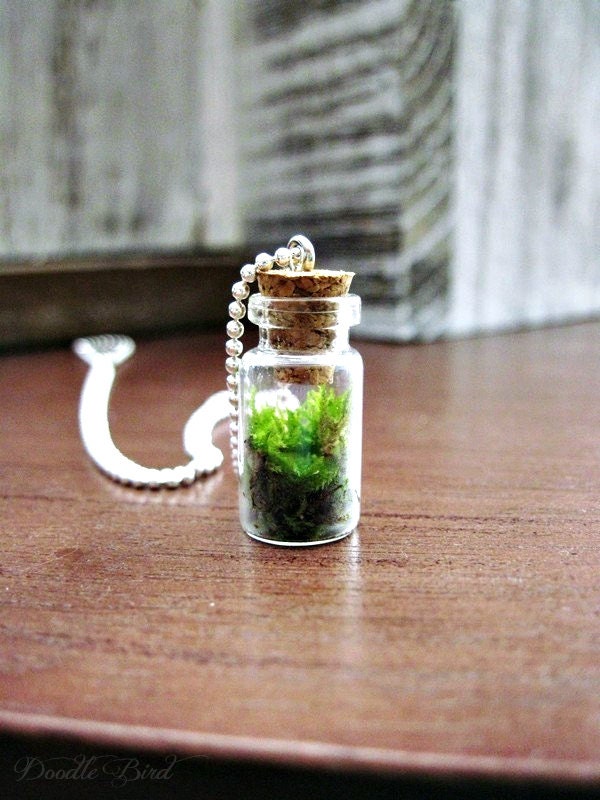 Terrarium Necklace with Sterling Silver Chain
