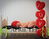 Ready-to-Distress Newborn Infant Photo Prop Posing Bed includes Mattress with Removable Cover - Large Whimsical