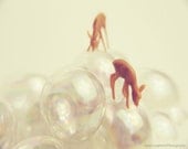 Bubbly 8x10