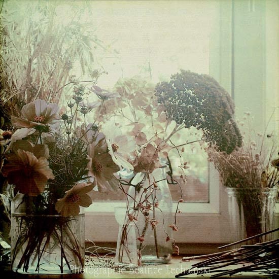 Bouquets of flowers. Still life photograph. Fine art photography print. 8x8 inches (20x20 cm)