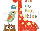 Kids Nursery decor-colorful giraffe and birds for boys