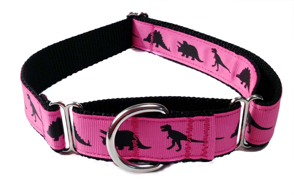 Dinosaur Martingale Dog Collar - 1" Pink or Blue Dinosaur Dog Collar