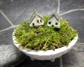 Moss Village Pot...A Pair of Miniature Houses with Stoneware Pot