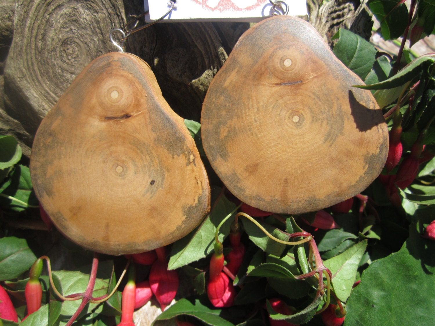 Beautiful Large  Earthy Wood Earrings- Spalted Vine Maple  Big Wood Earrings...31