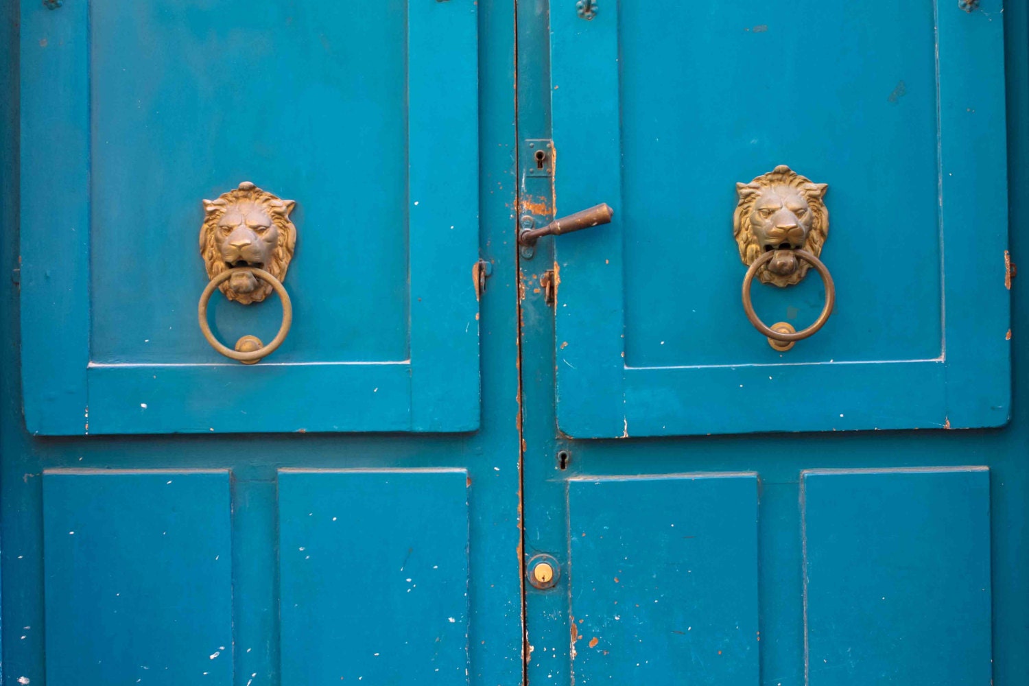 Paris Photography - Turquoise and Gold Doors in the Marais Paris, France 8x10 Photograph - French Home Decor  - rustic pink
