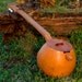 Gourd Banjo 4 String