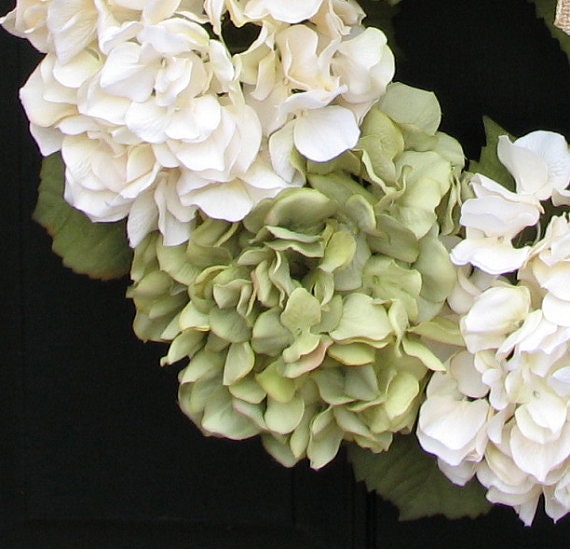 Wreaths - Hydrangea Wreath - Wreaths for All Seasons - Spring Hydrangeas - Spring Wreaths - Hydrangea Blooms