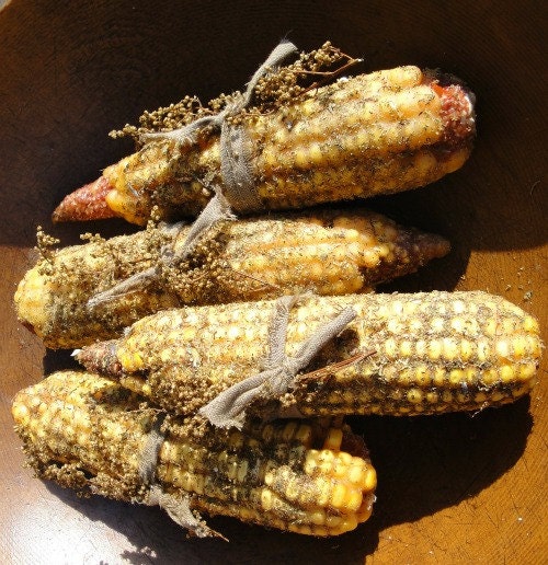 Sweet Annie Corn Cob- real dried corn cobs dipped in pure beeswax and rubbed with sweet annie blossoms and tied with homespun