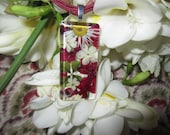 Ruby  Red  pressed Verbena, 4 leaf Clover, and Linen Hydrangea Florets behind glass.  Crystal clear, handcut 1 x 2 inches.
