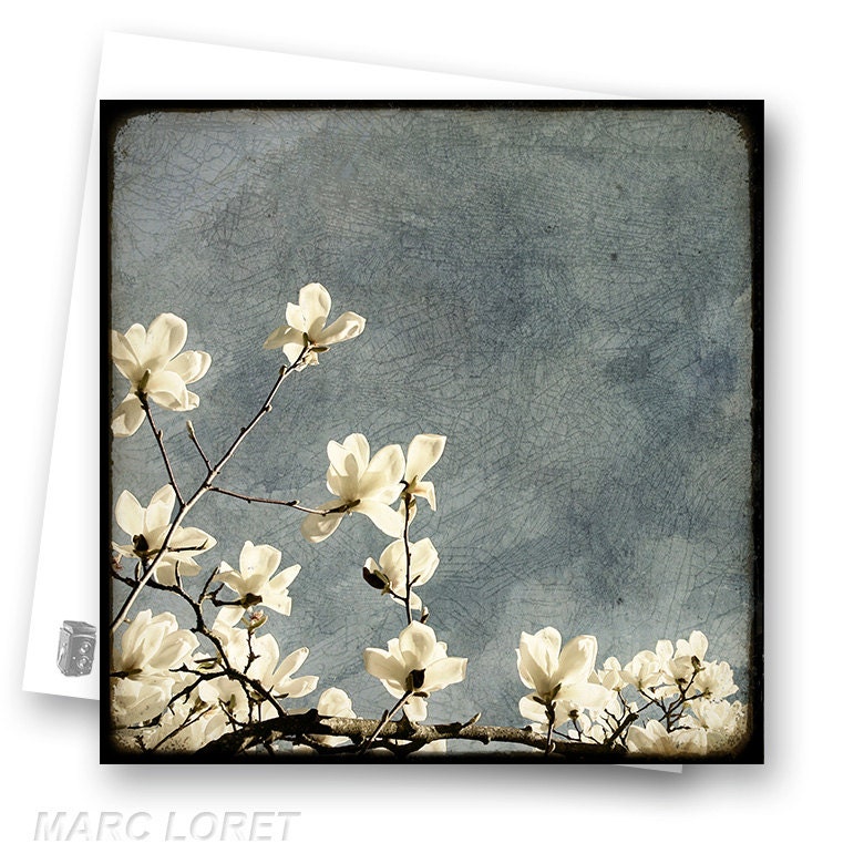 Un peu du Printemps 02 - Fine Art Photography French Nature - Photo Postcard