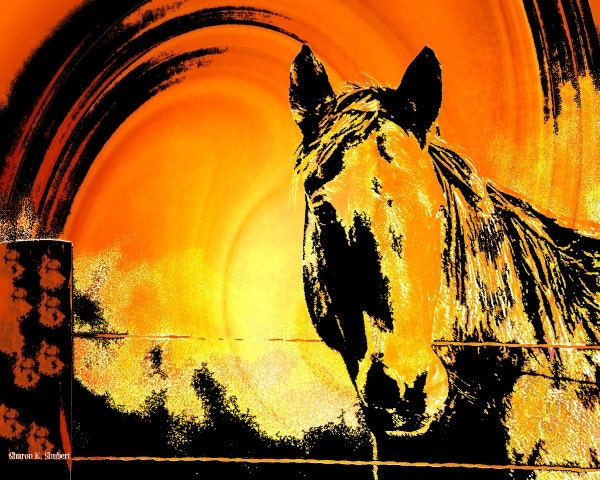 Southwest Summer Horse Art Giclee Print Orange Yellow Black Home Wall Decor 8 x 10 Digital Print