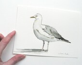 original ink and watercolor painting of a seagull - atelier28