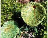 A concrete-cast rhubarb leaf birdbath/feeder on pole (Leaf 1270) - multiple greens, gold, orange, copper, bronze & more