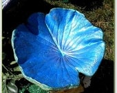 More dragonfly metallics - a cast leaf water lily birdbath/feeder on a pole (Leaf 1314) - beautiful in sun or shade