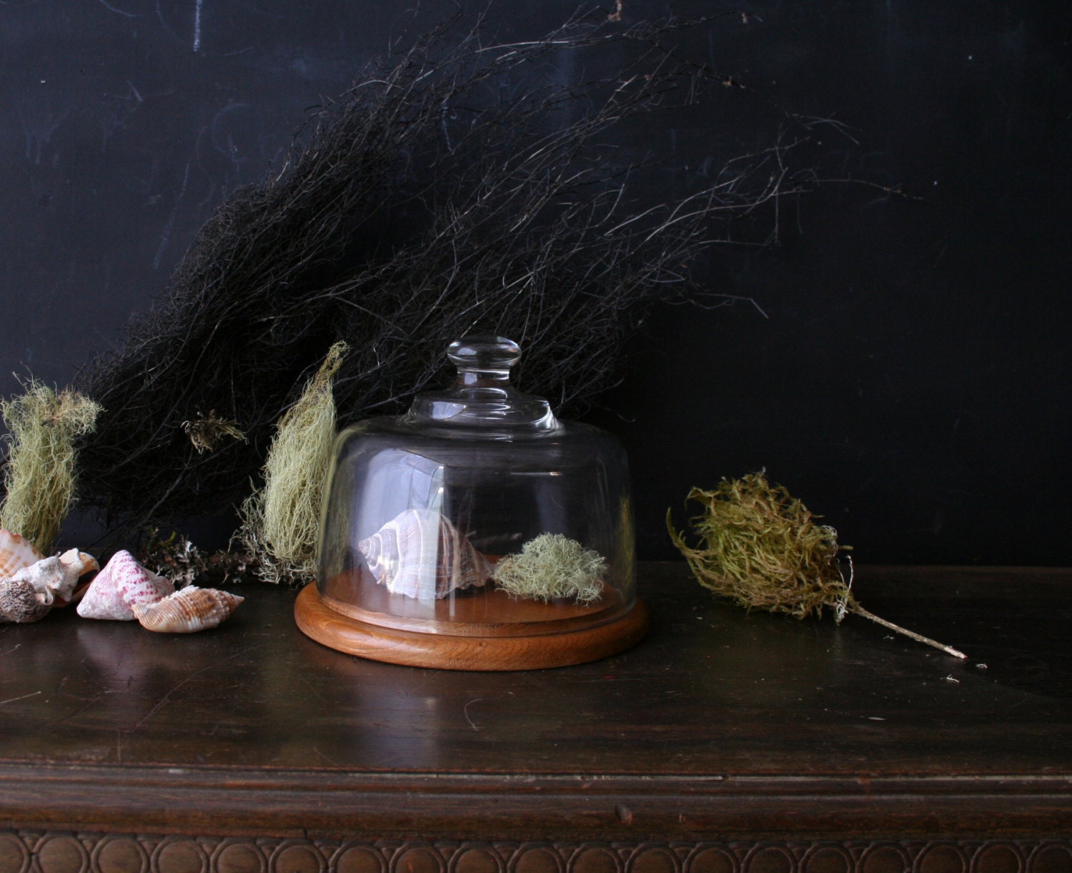 Vintage Glass Display Dome For Curio and Nature