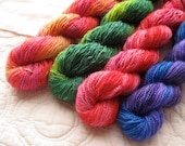 Barn Raiser Mini Skein: Flower Garden Ombres
