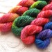 Barn Raiser Mini Skein: Flower Garden Ombres