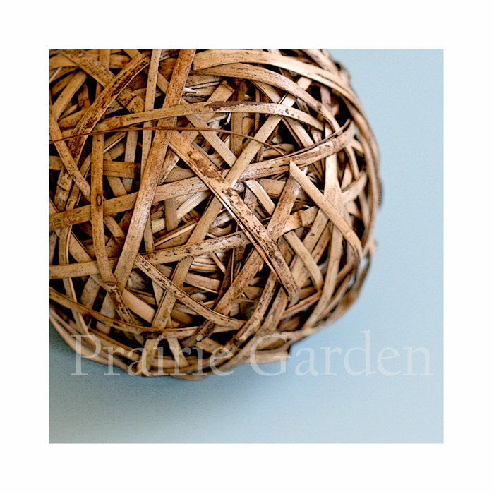 The Wicker Maze on blue 8x8 fine art photo
