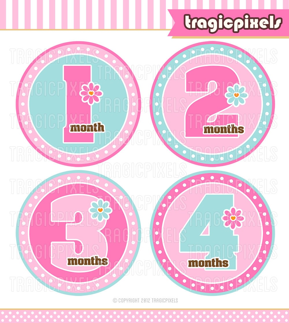 12 Month Stickers, Baby Girl Onesie stickers, Iron on Transfers - Monthly Milestones DIY Printable (No. 109) - Instant Download