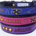 Agility Dog Collar / Handmade / Pet Accessories / Adjustable