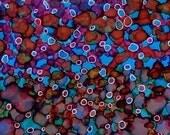 Ink Painting Original Abstract Art Glossy Finish Beautiful Colors OOAK Design Heather Montgomery Art