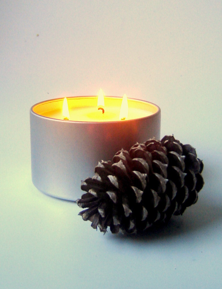 FOREST Scented Soy Candle Tins / Oakmoss and Amber Container Candle Home Decor