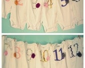 Baby Girl Month Onesie Set, Milestone Bodysuit, Photography Prop, Baby Shower Gift, Embellished,  Hudson And Ruthie