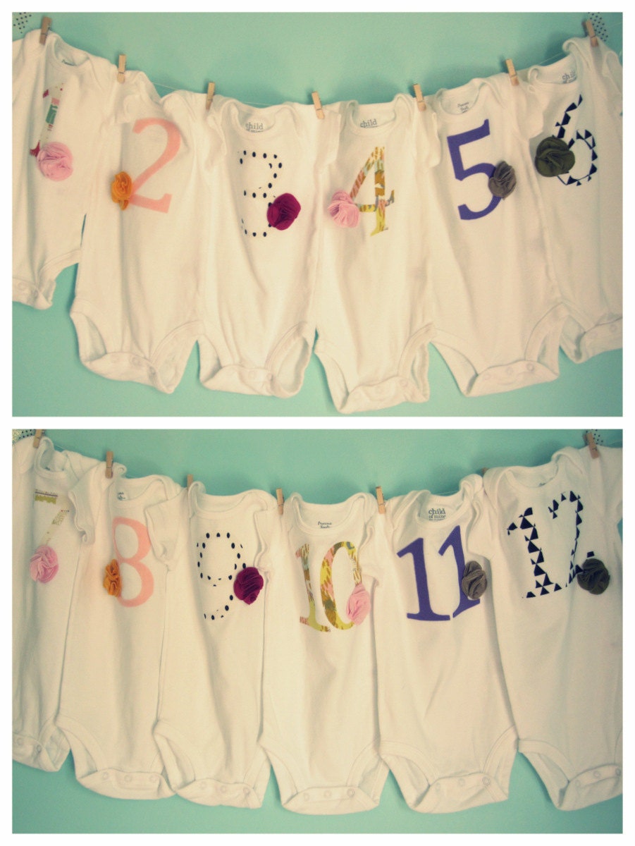 Baby Girl Month Onesie Set, Milestone Bodysuit, Photography Prop, Baby Shower Gift, Embellished,  Hudson And Ruthie