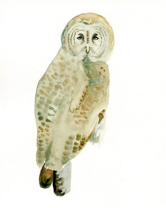 GRAY  OWL Original watercolor painting 8x10inch (Vertical orientation)